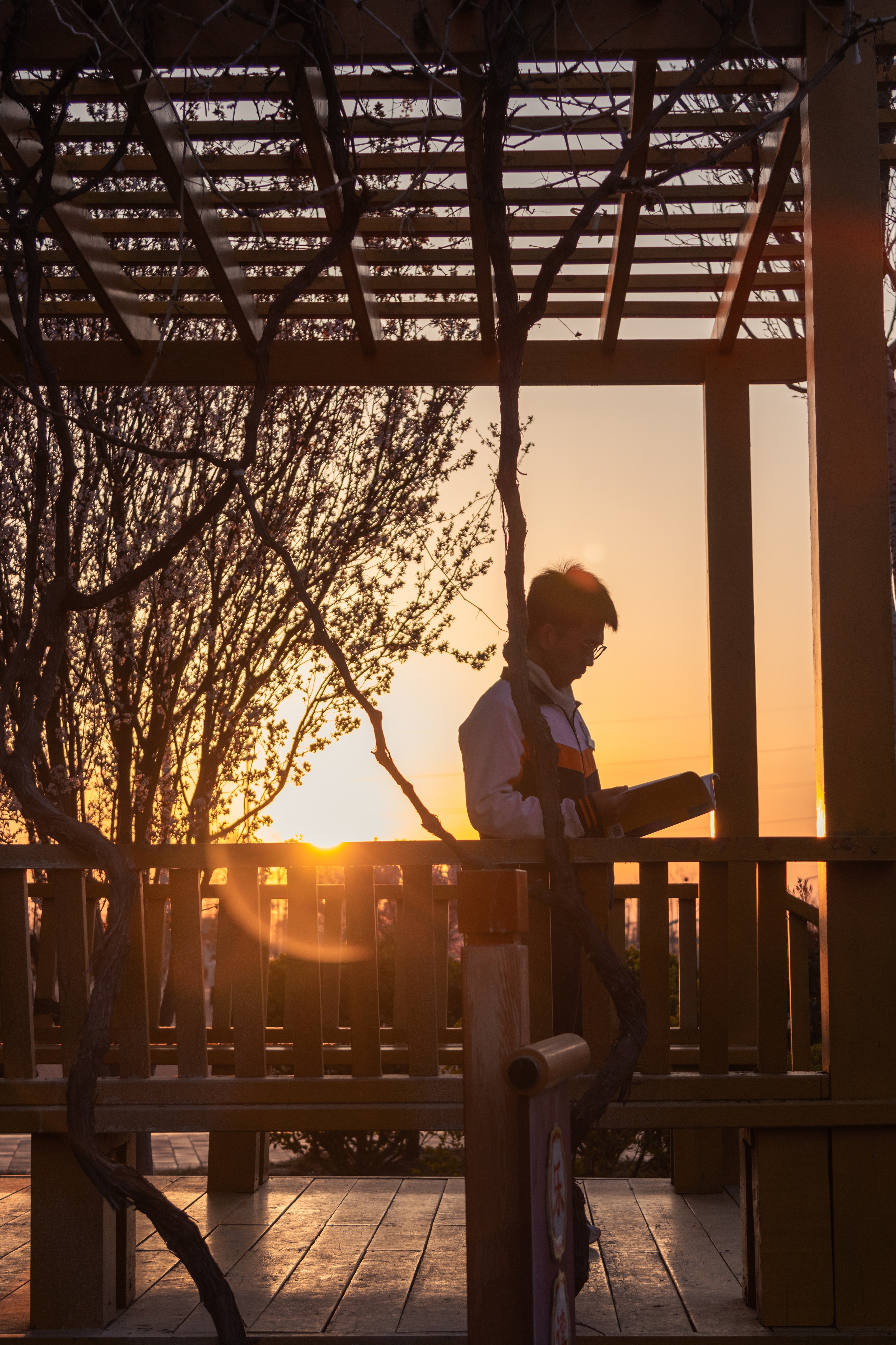 《校园夕照乐读时》