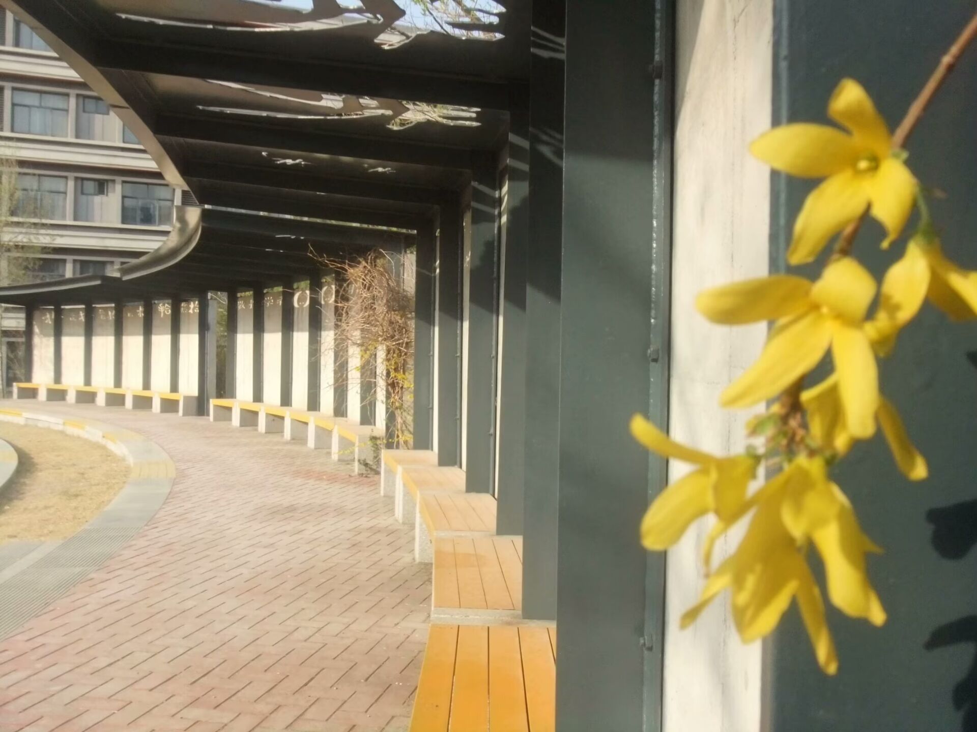 《光影与春天》