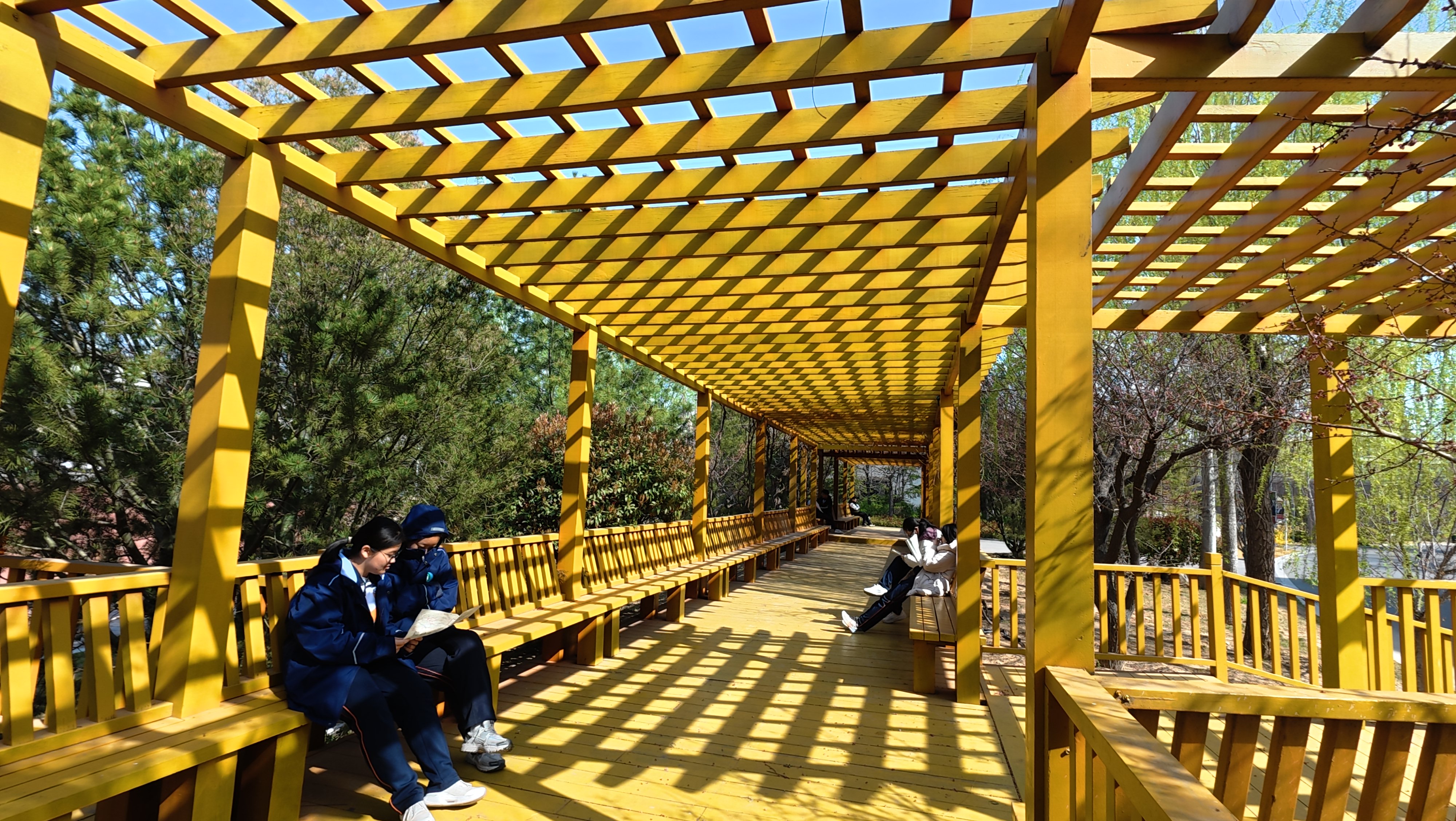 《青春》阅读，乐读.